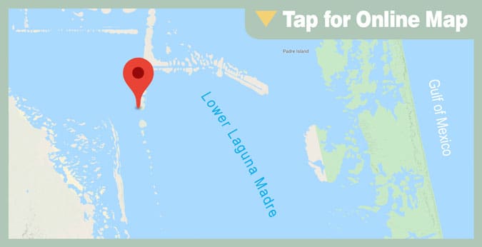 Lower Laguna Madre