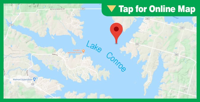 Lake Conroe