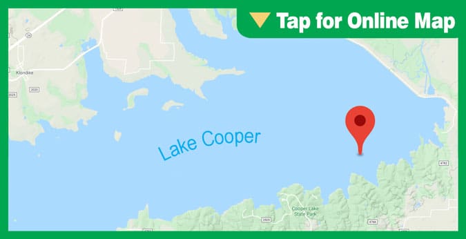 Lake Cooper