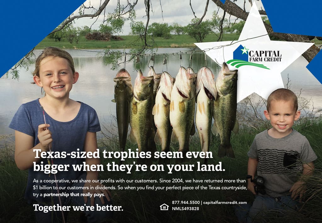 Capital Farm Credit