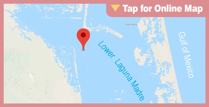 Lower Laguna Madre