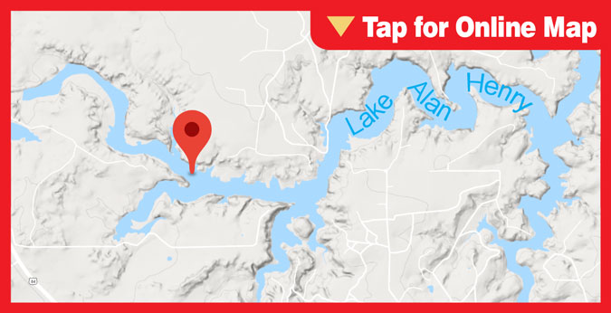 Lake Alan Henry