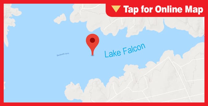  Lake Falcon