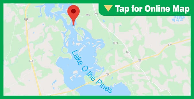 Lake O the Pines