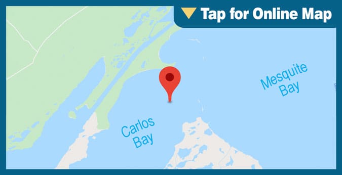Carlos Bay