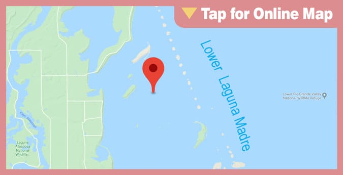 Lower Laguna Madre