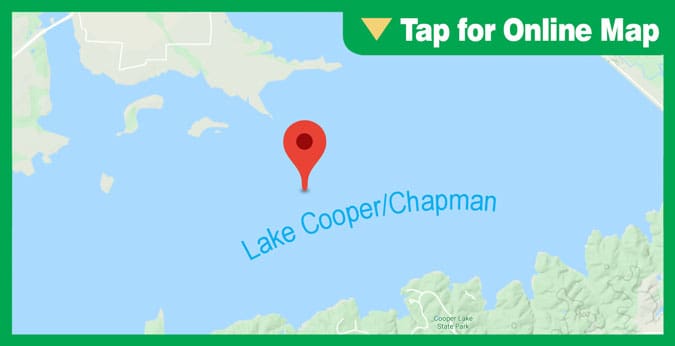 Lake Cooper/Chapman