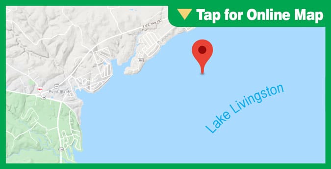 Lake Livingston