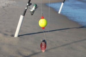 doodlebug rig