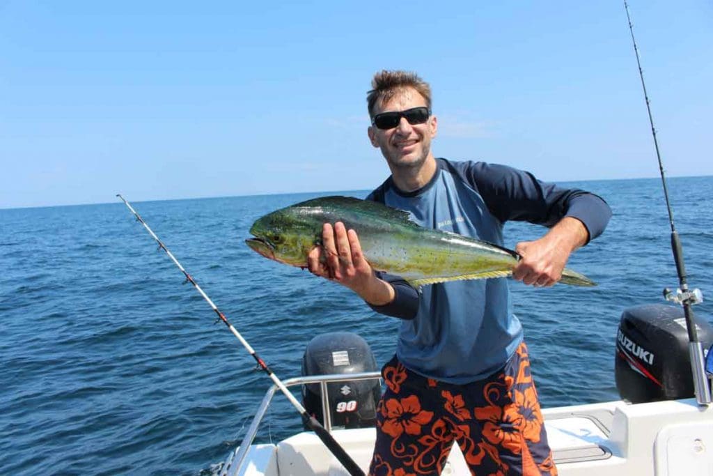 mahi mahi fish