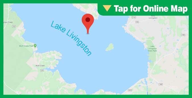 Lake Livingston