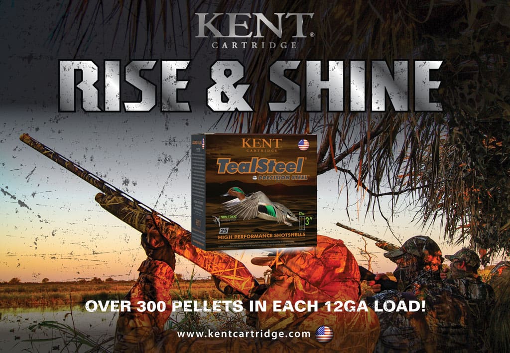 Kent Cartridge