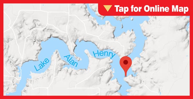 Lake Alan Henry