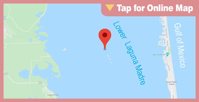 Lower Laguna Madre