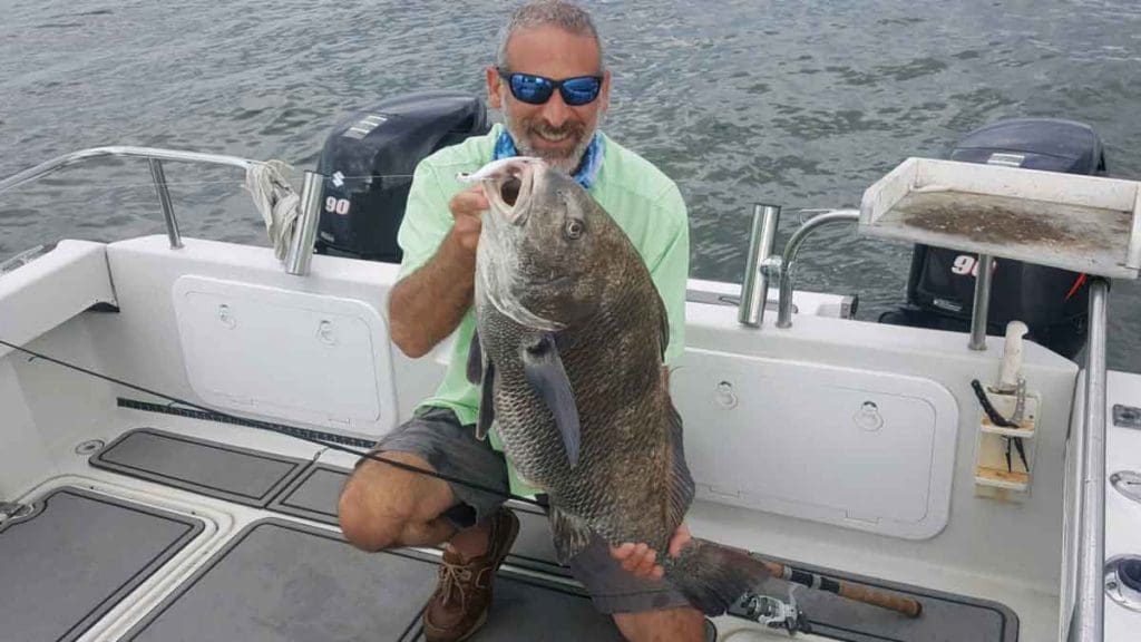 black drum on jig