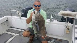 black drum on jig