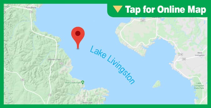 Lake Livingston