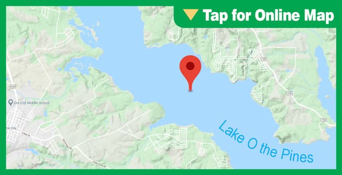 Lake O the Pines