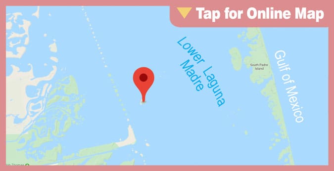 Lower Laguna Madre