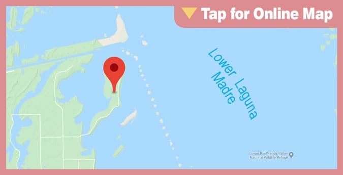 Lower Laguna Madre