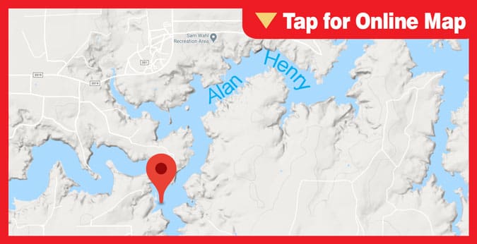 Lake Alan Henry