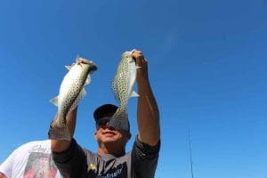 angler holds speckled trout