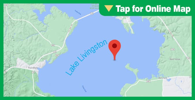 Lake Livingston
