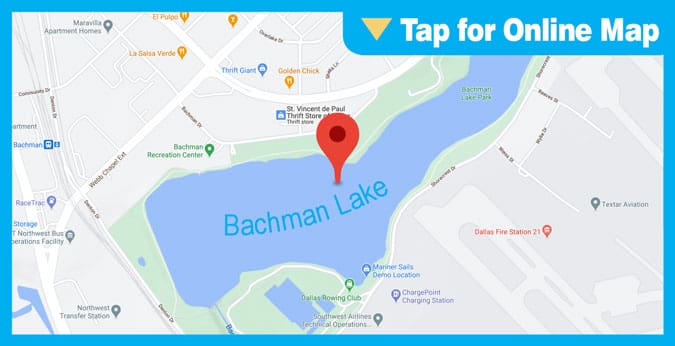Bachman Lake