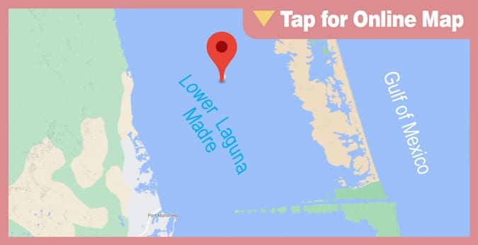 Lower Laguna Madre