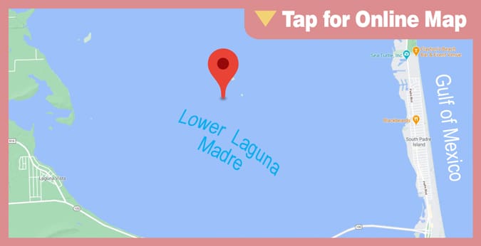Lower Laguna Madre: Color Change