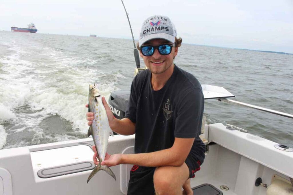 spanish mackerel trolling