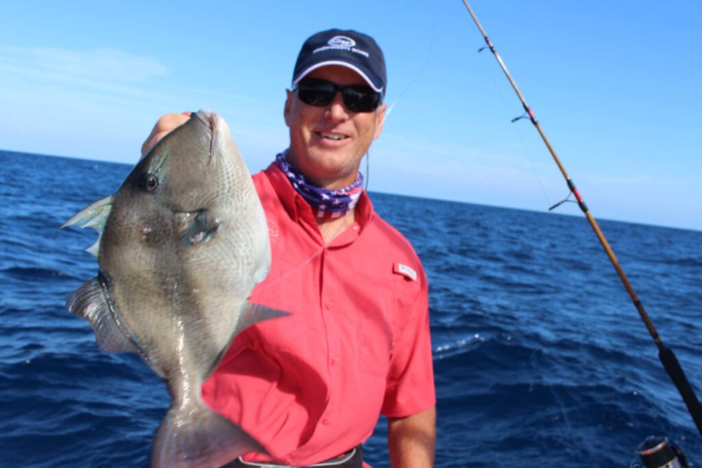 trigger fish