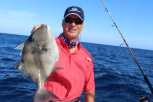 trigger fish