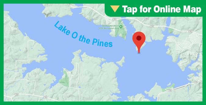 Lake O the Pines