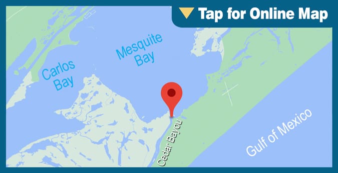 Mesquite Bay