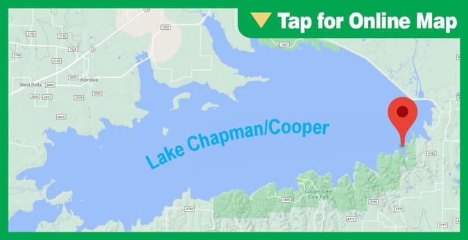 Lake Chapman (Cooper): Brush Piles