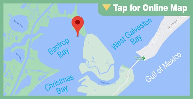 Bastrop Bay: Bastrop Bay Shell