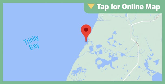 Galveston Trinity Bay: Lone Oak Cove