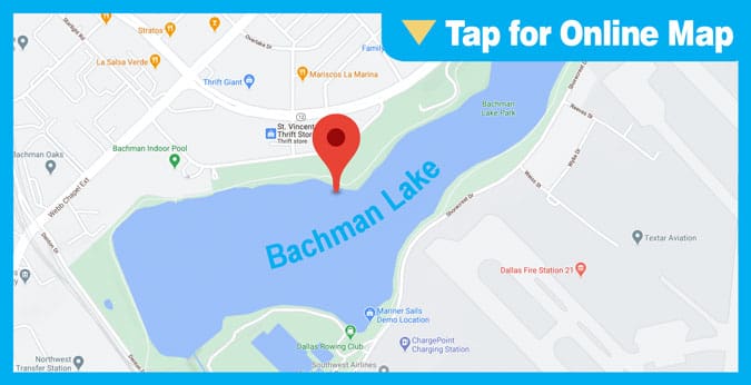 Bachman Lake: Main Lake