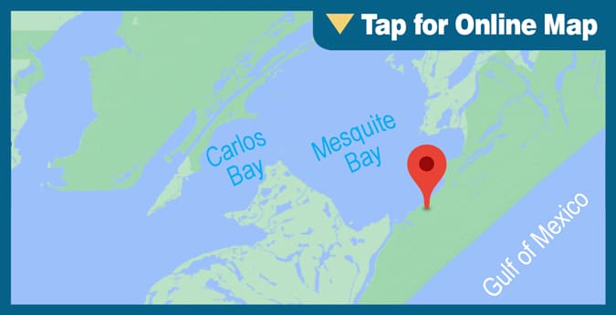 Mesquite Bay: Cedar Bayou Flats