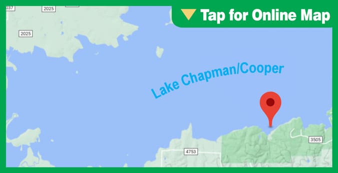 Lake Chapman/Cooper: Finely Branch Creek