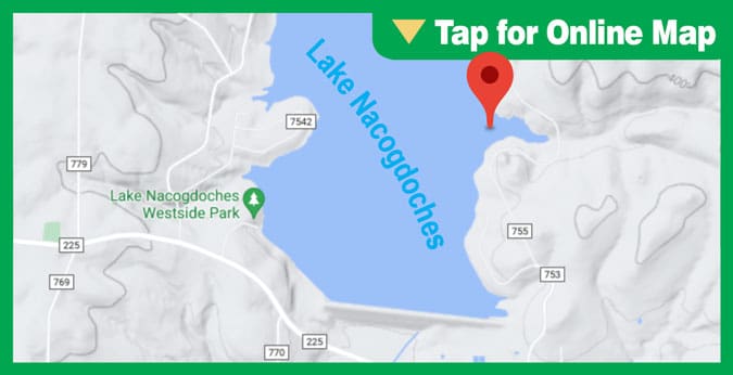 Lake Nacogdoches: Mills Branch