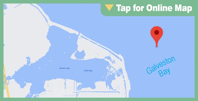 Galveston Trinity Bay: Dollar Reef