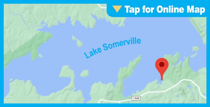 Lake Somerville: Yegua Park Shoreline