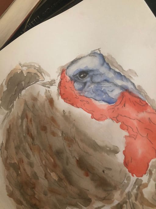 Emily Odom did this watercolor of a turkey after her encounter in Titus County. She has been inspired to continue working to raise awareness of wildlife conservation.