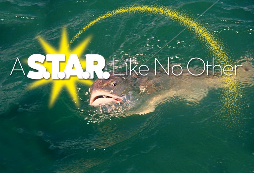A S.T.A.R. Like No Other