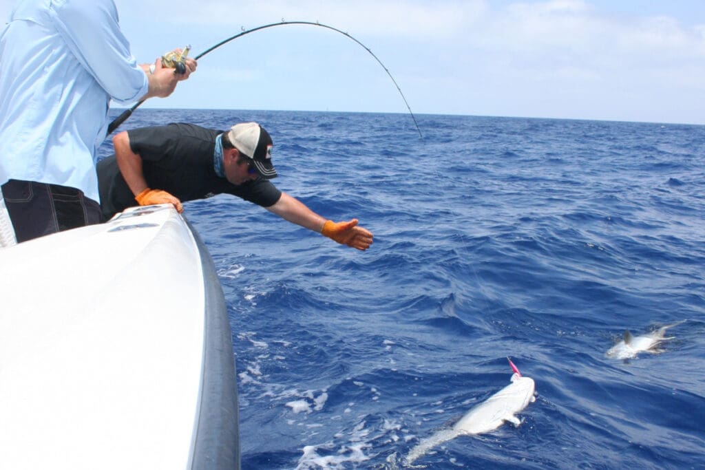 amberjack fishing