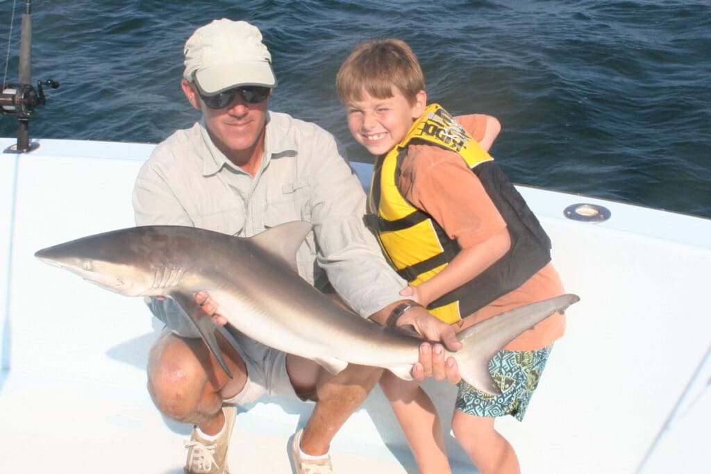 shark fishing