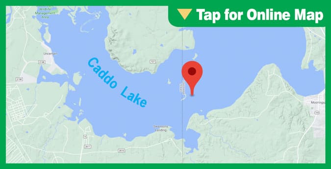 Caddo Lake