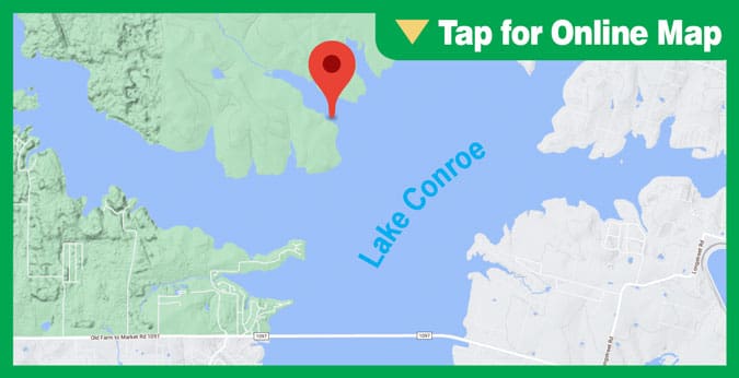 Lake Conroe